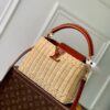 LV BAG - Image 1